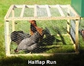 Halflap Henhouse Portable Chicken Run