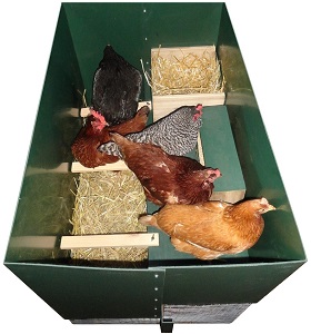 Halflap Henhouse Portable Chicken Coop Inside View