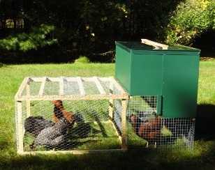 Chicken Run and Halflap Henhouse Portable Chicken Coop
