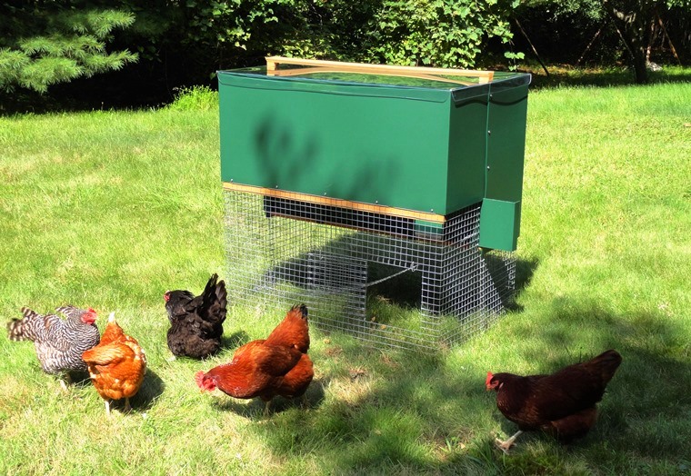 Halflap Henhouse Portable Chicken Coop and Hens