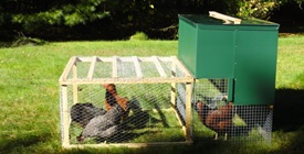 Halflap Henhouse Portable Chicken Coop and Run with Chickens